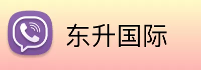 东升国际 logo